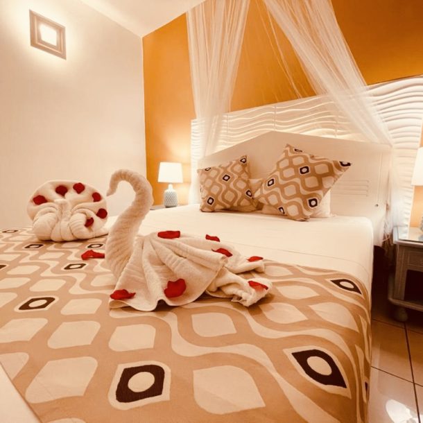 aff33388-29ed-4aac-8b08-c099d05d9a80